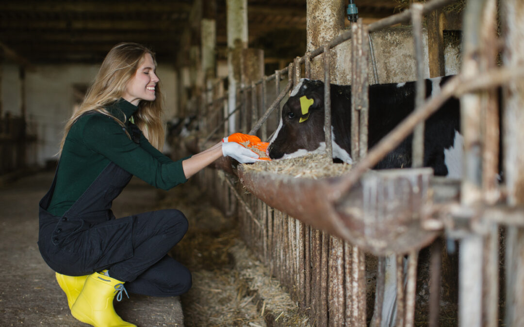 Jak przygotować gospodarstwo rolne do zimy – kompleksowy poradnik dla rolników