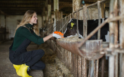 Jak przygotować gospodarstwo rolne do zimy – kompleksowy poradnik dla rolników