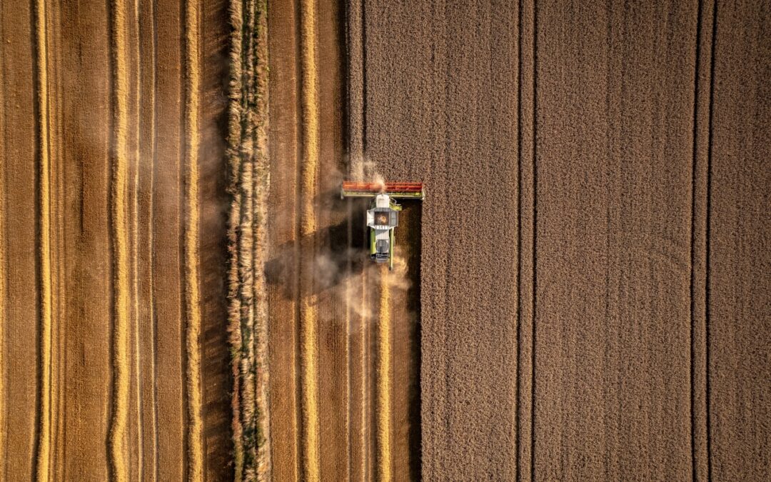 Automatyzacja w rolnictwie: transport ziarna, nawozów i pasz w nowoczesnych gospodarstwach